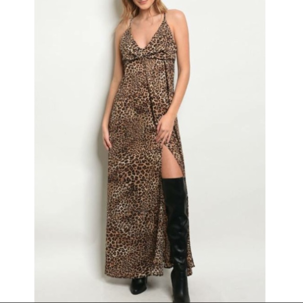 Leopard Print Maxi Dress